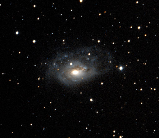 NGC1961 (Arp184) - Galaxies - Digital Images of the Sky